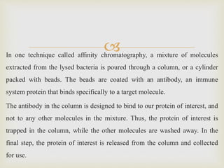 In one technique called affinity chromatography, a mixture of molecules
extracted from the lysed bacteria is poured through a column, or a cylinder
packed with beads. The beads are coated with an antibody, an immune
system protein that binds specifically to a target molecule.
The antibody in the column is designed to bind to our protein of interest, and
not to any other molecules in the mixture. Thus, the protein of interest is
trapped in the column, while the other molecules are washed away. In the
final step, the protein of interest is released from the column and collected
for use.
 