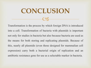 
Transformation is the process by which foreign DNA is introduced
into a cell. Transformation of bacteria with plasmids is important
not only for studies in bacteria but also because bacteria are used as
the means for both storing and replicating plasmids. Because of
this, nearly all plasmids (even those designed for mammalian cell
expression) carry both a bacterial origin of replication and an
antibiotic resistance gene for use as a selectable marker in bacteria.
CONCLUSION
 