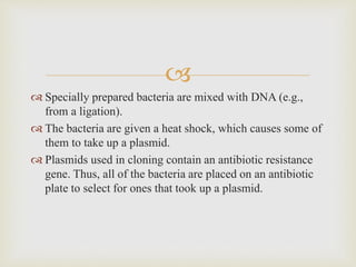 
 Specially prepared bacteria are mixed with DNA (e.g.,
from a ligation).
 The bacteria are given a heat shock, which causes some of
them to take up a plasmid.
 Plasmids used in cloning contain an antibiotic resistance
gene. Thus, all of the bacteria are placed on an antibiotic
plate to select for ones that took up a plasmid.
 