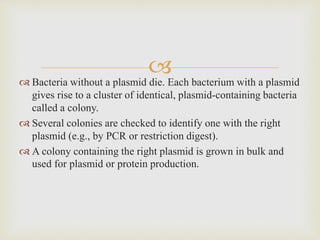  Bacteria without a plasmid die. Each bacterium with a plasmid
gives rise to a cluster of identical, plasmid-containing bacteria
called a colony.
 Several colonies are checked to identify one with the right
plasmid (e.g., by PCR or restriction digest).
 A colony containing the right plasmid is grown in bulk and
used for plasmid or protein production.
 