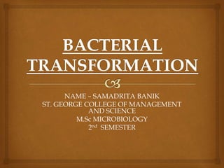 NAME – SAMADRITA BANIK
ST. GEORGE COLLEGE OF MANAGEMENT
AND SCIENCE
M.Sc MICROBIOLOGY
2nd SEMESTER
 
