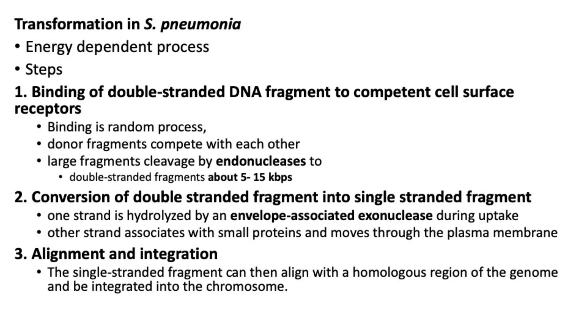 Bacterial Transformation.pdf