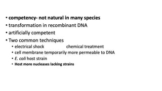 Bacterial Transformation.pdf