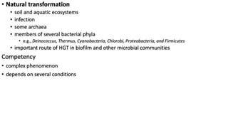 Bacterial Transformation.pdf