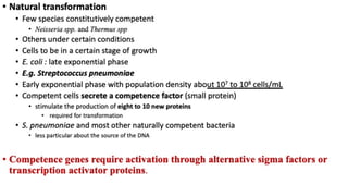 Bacterial Transformation.pdf