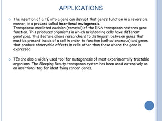 APPLICATIONS
 The insertion of a TE into a gene can disrupt that gene’s function in a reversible
manner, in a process called insertional mutagenesis.
Transposase-mediated excision (removal) of the DNA transposon restores gene
function. This produces organisms in which neighboring cells have different
genotypes. This feature allows researchers to distinguish between genes that
must be present inside of a cell in order to function (cell-autonomous) and genes
that produce observable effects in cells other than those where the gene is
expressed.
 TEs are also a widely used tool for mutagenesis of most experimentally tractable
organisms. The Sleeping Beauty transposon system has been used extensively as
an insertional tag for identifying cancer genes.
 