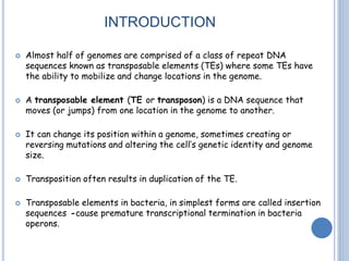 INTRODUCTION
 Almost half of genomes are comprised of a class of repeat DNA
sequences known as transposable elements (TEs) where some TEs have
the ability to mobilize and change locations in the genome.
 A transposable element (TE or transposon) is a DNA sequence that
moves (or jumps) from one location in the genome to another.
 It can change its position within a genome, sometimes creating or
reversing mutations and altering the cell’s genetic identity and genome
size.
 Transposition often results in duplication of the TE.
 Transposable elements in bacteria, in simplest forms are called insertion
sequences -cause premature transcriptional termination in bacteria
operons.
 