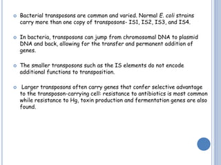  Bacterial transposons are common and varied. Normal E. coli strains
carry more than one copy of transposons- IS1, IS2, IS3, and IS4.
 In bacteria, transposons can jump from chromosomal DNA to plasmid
DNA and back, allowing for the transfer and permanent addition of
genes.
 The smaller transposons such as the IS elements do not encode
additional functions to transposition.
 Larger transposons often carry genes that confer selective advantage
to the transposon-carrying cell: resistance to antibiotics is most common
while resistance to Hg, toxin production and fermentation genes are also
found.
 