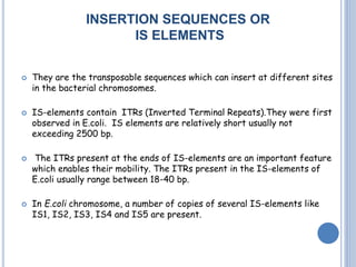 INSERTION SEQUENCES OR
IS ELEMENTS
 They are the transposable sequences which can insert at different sites
in the bacterial chromosomes.
 IS-elements contain ITRs (Inverted Terminal Repeats).They were first
observed in E.coli. IS elements are relatively short usually not
exceeding 2500 bp.
 The ITRs present at the ends of IS-elements are an important feature
which enables their mobility. The ITRs present in the IS-elements of
E.coli usually range between 18-40 bp.
 In E.coli chromosome, a number of copies of several IS-elements like
IS1, IS2, IS3, IS4 and IS5 are present.
 