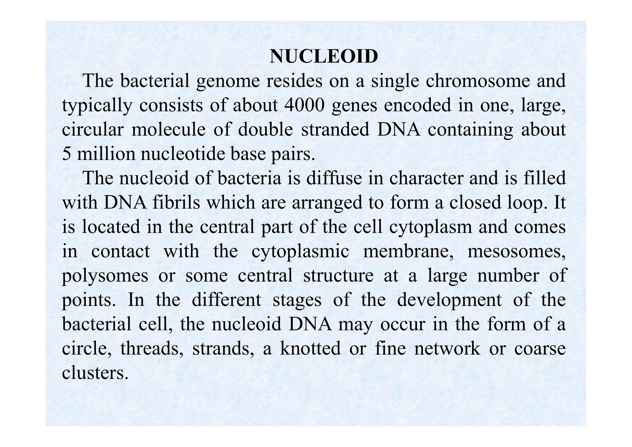 NUCLEOID
The bacterial genome resides on a single chromosome and
typically consists of about 4000 genes encoded in one, large,
circular molecule of double stranded DNA containing about
5 million nucleotide base pairs.
The nucleoid of bacteria is diffuse in character and is filled
with DNA fibrils which are arranged to form a closed loop. It
is located in the central part of the cell cytoplasm and comes
in contact with the cytoplasmic membrane, mesosomes,
polysomes or some central structure at a large number of
points. In the different stages of the development of the
bacterial cell, the nucleoid DNA may occur in the form of a
circle, threads, strands, a knotted or fine network or coarse
clusters.
 