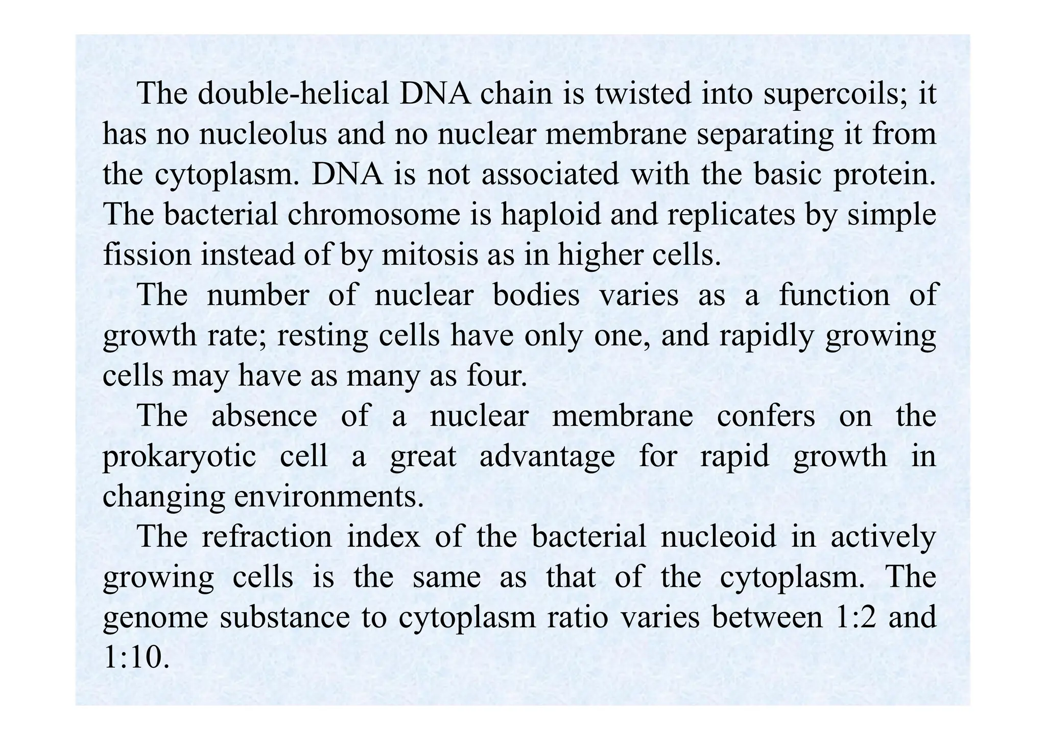 The double-helical DNA chain is twisted into supercoils; it
has no nucleolus and no nuclear membrane separating it from
the cytoplasm. DNA is not associated with the basic protein.
The bacterial chromosome is haploid and replicates by simple
fission instead of by mitosis as in higher cells.
The number of nuclear bodies varies as a function of
growth rate; resting cells have only one, and rapidly growing
cells may have as many as four.
The absence of a nuclear membrane confers on the
prokaryotic cell a great advantage for rapid growth in
changing environments.
The refraction index of the bacterial nucleoid in actively
growing cells is the same as that of the cytoplasm. The
genome substance to cytoplasm ratio varies between 1:2 and
1:10.
 