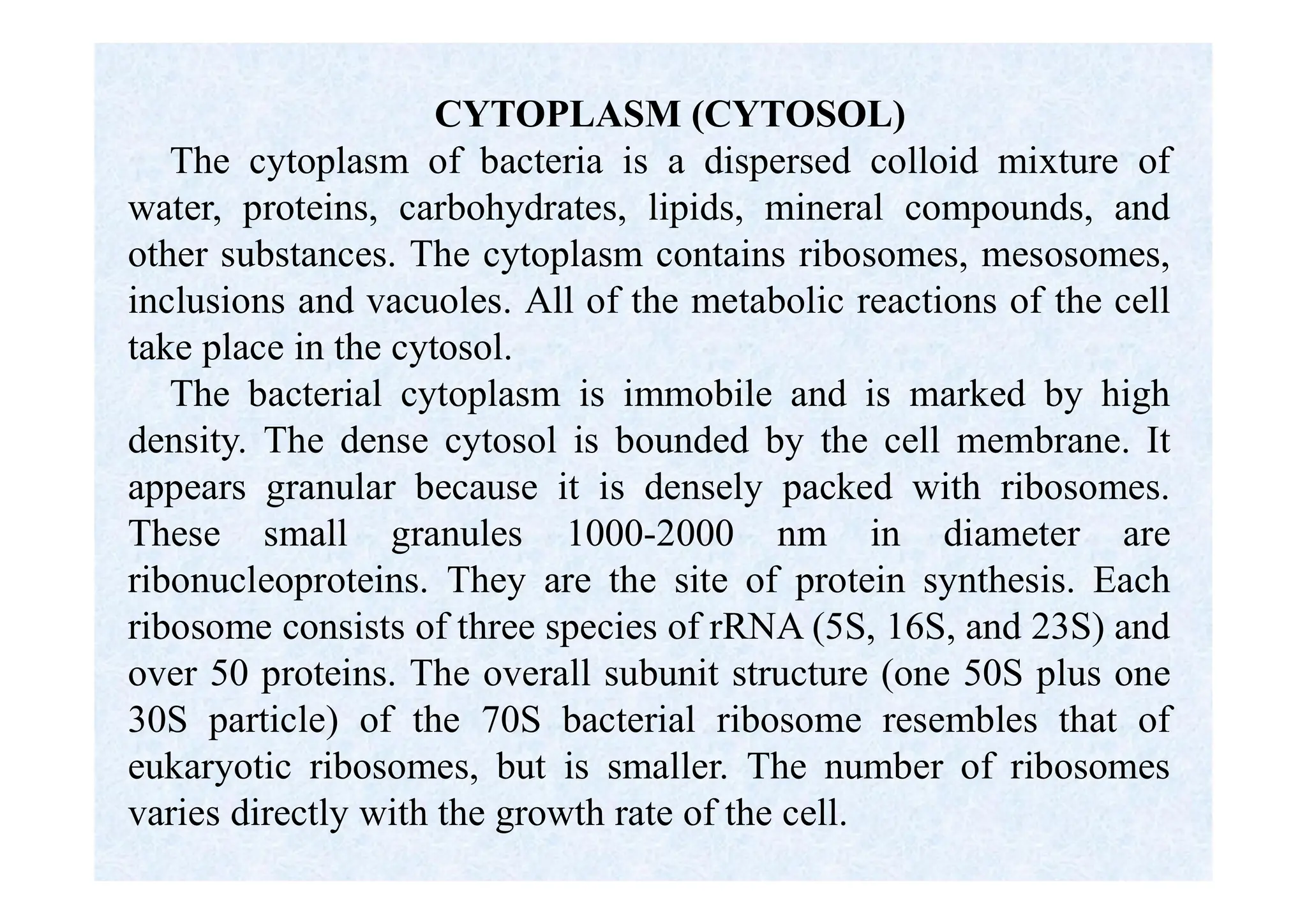 CYTOPLASM (CYTOSOL)
The cytoplasm of bacteria is a dispersed colloid mixture of
water, proteins, carbohydrates, lipids, mineral compounds, and
other substances. The cytoplasm contains ribosomes, mesosomes,
inclusions and vacuoles. All of the metabolic reactions of the cell
take place in the cytosol.
The bacterial cytoplasm is immobile and is marked by high
density. The dense cytosol is bounded by the cell membrane. It
appears granular because it is densely packed with ribosomes.
These small granules 1000-2000 nm in diameter are
ribonucleoproteins. They are the site of protein synthesis. Each
ribosome consists of three species of rRNA (5S, 16S, and 23S) and
over 50 proteins. The overall subunit structure (one 50S plus one
30S particle) of the 70S bacterial ribosome resembles that of
eukaryotic ribosomes, but is smaller. The number of ribosomes
varies directly with the growth rate of the cell.
 