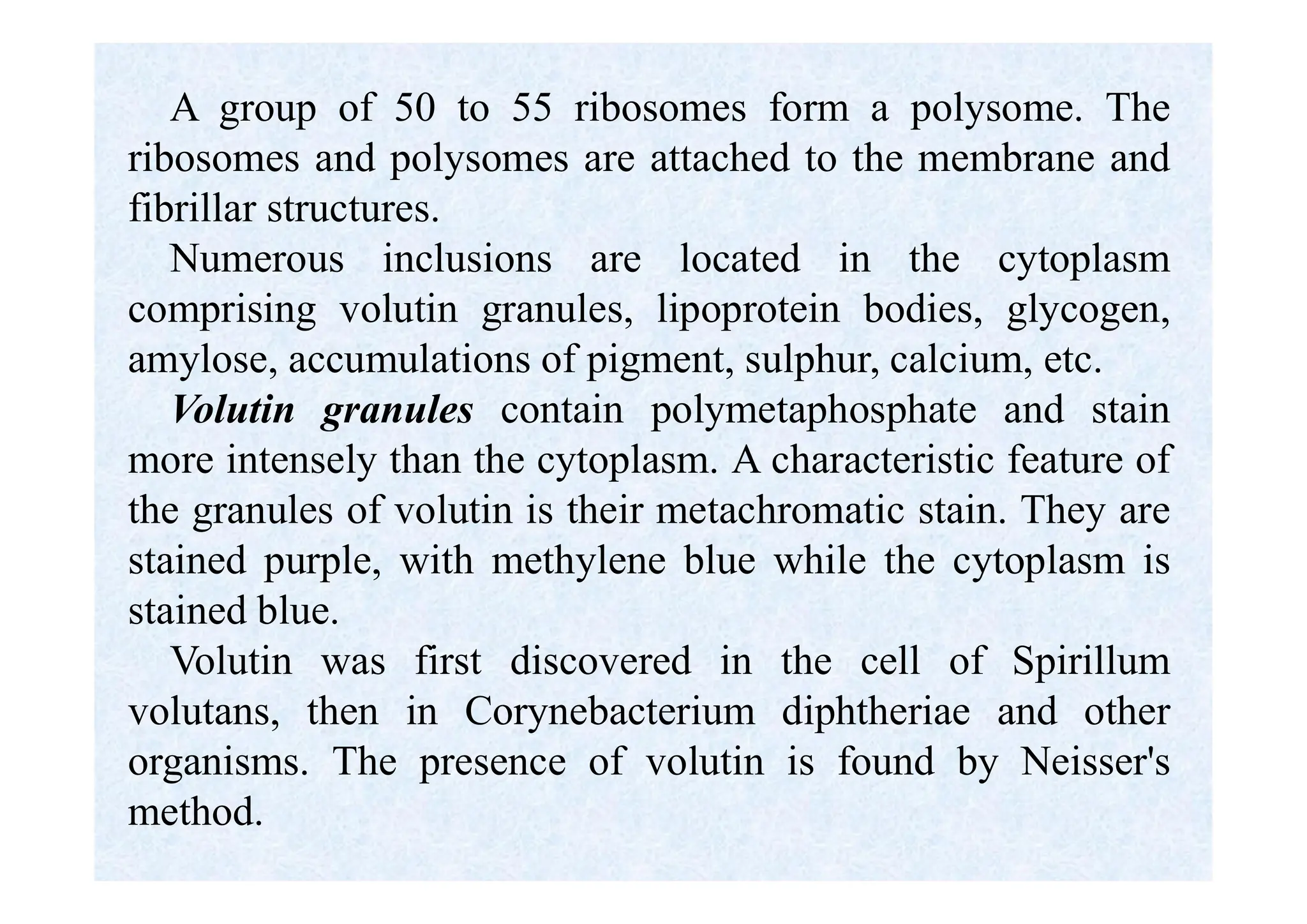 A group of 50 to 55 ribosomes form a polysome. The
ribosomes and polysomes are attached to the membrane and
fibrillar structures.
Numerous inclusions are located in the cytoplasm
comprising volutin granules, lipoprotein bodies, glycogen,
amylose, accumulations of pigment, sulphur, calcium, etc.
Volutin granules contain polymetaphosphate and stain
more intensely than the cytoplasm. A characteristic feature of
the granules of volutin is their metachromatic stain. They are
stained purple, with methylene blue while the cytoplasm is
stained blue.
Volutin was first discovered in the cell of Spirillum
volutans, then in Corynebacterium diphtheriae and other
organisms. The presence of volutin is found by Neisser's
method.
 