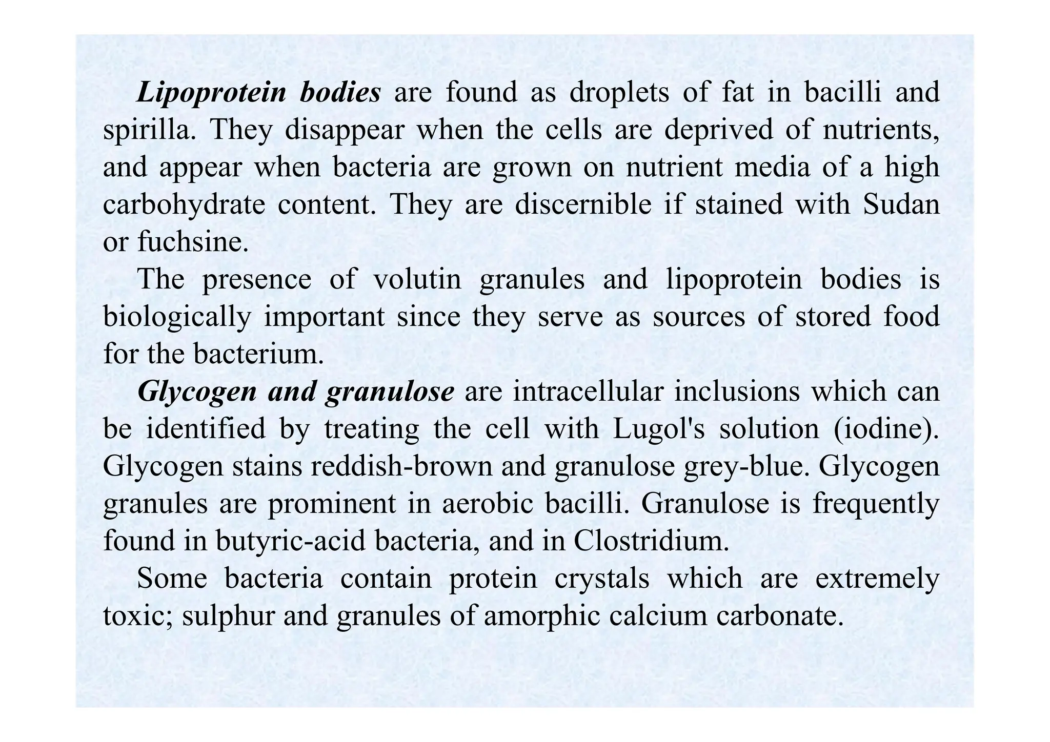 Lipoprotein bodies are found as droplets of fat in bacilli and
spirilla. They disappear when the cells are deprived of nutrients,
and appear when bacteria are grown on nutrient media of a high
carbohydrate content. They are discernible if stained with Sudan
or fuchsine.
The presence of volutin granules and lipoprotein bodies is
biologically important since they serve as sources of stored food
for the bacterium.
Glycogen and granulose are intracellular inclusions which can
be identified by treating the cell with Lugol's solution (iodine).
Glycogen stains reddish-brown and granulose grey-blue. Glycogen
granules are prominent in aerobic bacilli. Granulose is frequently
found in butyric-acid bacteria, and in Clostridium.
Some bacteria contain protein crystals which are extremely
toxic; sulphur and granules of amorphic calcium carbonate.
 