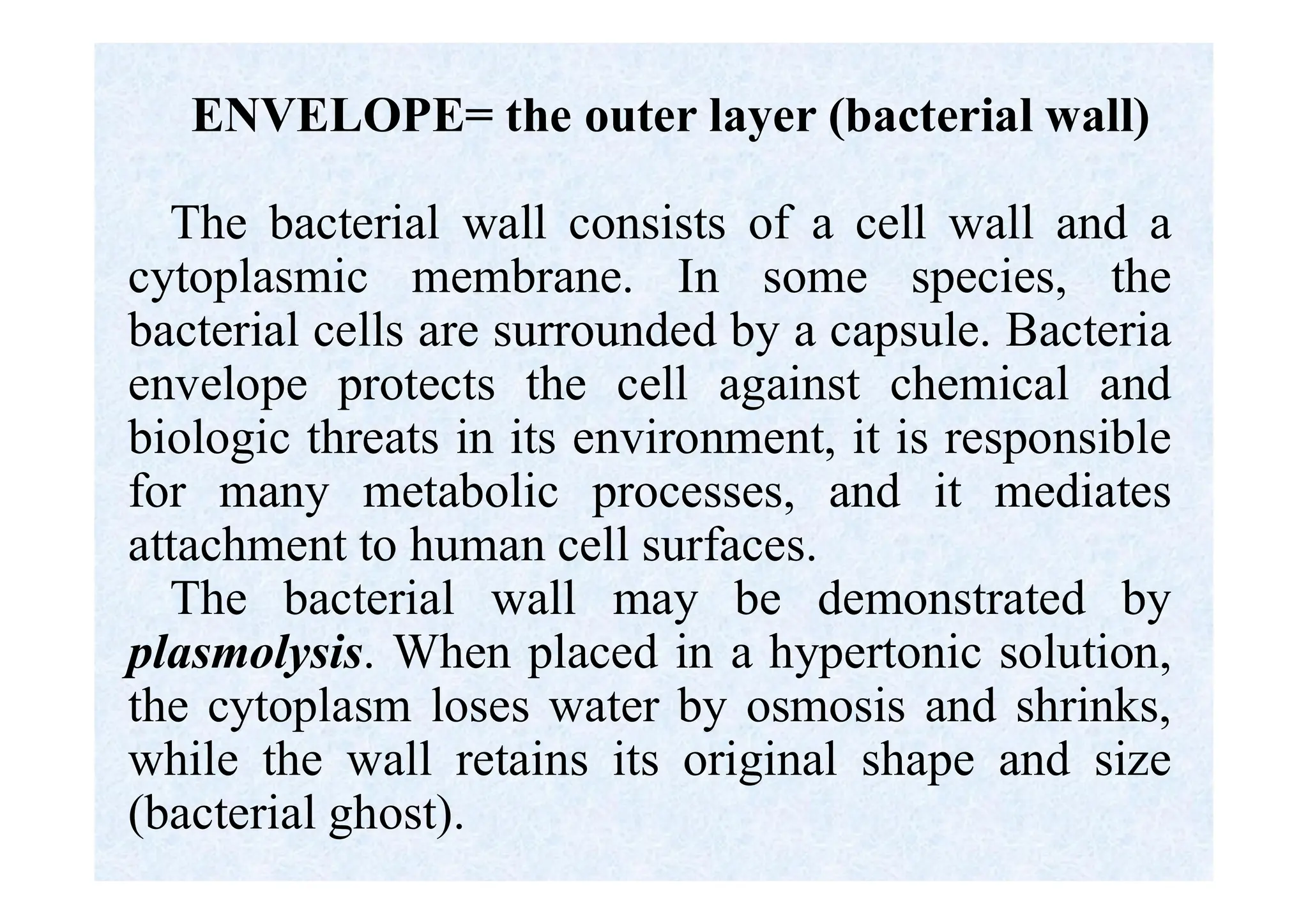 ENVELOPE= the outer layer (bacterial wall)
The bacterial wall consists of a cell wall and a
cytoplasmic membrane. In some species, the
bacterial cells are surrounded by a capsule. Bacteria
envelope protects the cell against chemical and
biologic threats in its environment, it is responsible
for many metabolic processes, and it mediates
attachment to human cell surfaces.
The bacterial wall may be demonstrated by
plasmolysis. When placed in a hypertonic solution,
the cytoplasm loses water by osmosis and shrinks,
while the wall retains its original shape and size
(bacterial ghost).
 