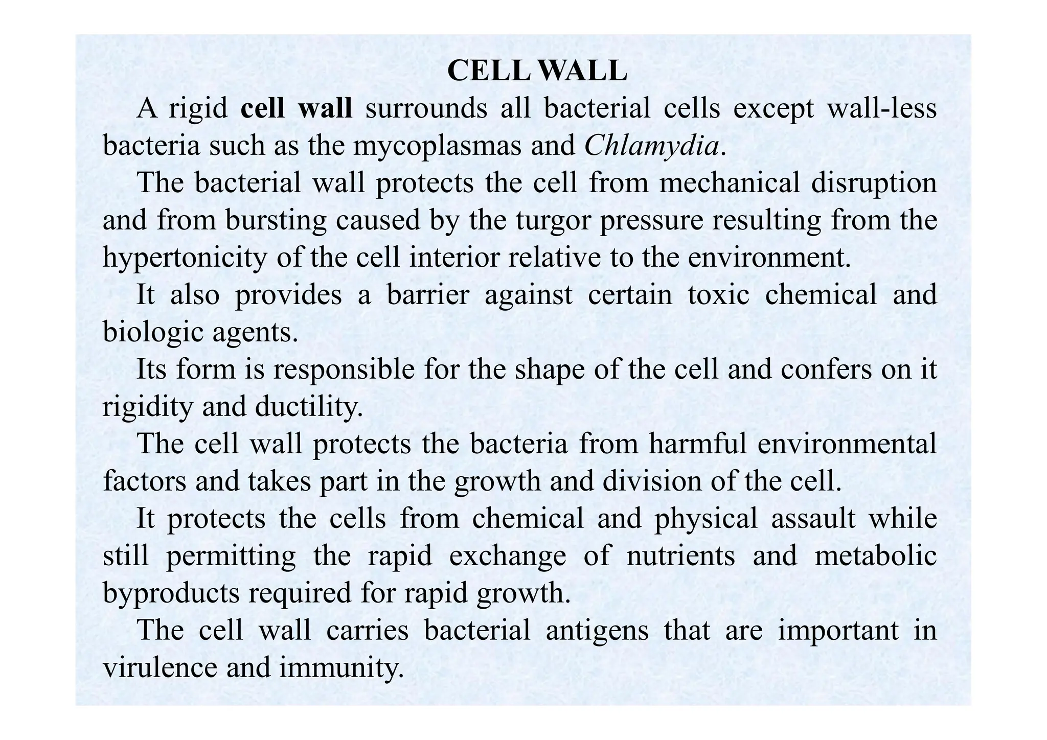 CELL WALL
A rigid cell wall surrounds all bacterial cells except wall-less
bacteria such as the mycoplasmas and Chlamydia.
The bacterial wall protects the cell from mechanical disruption
and from bursting caused by the turgor pressure resulting from the
hypertonicity of the cell interior relative to the environment.
It also provides a barrier against certain toxic chemical and
biologic agents.
Its form is responsible for the shape of the cell and confers on it
rigidity and ductility.
The cell wall protects the bacteria from harmful environmental
factors and takes part in the growth and division of the cell.
It protects the cells from chemical and physical assault while
still permitting the rapid exchange of nutrients and metabolic
byproducts required for rapid growth.
The cell wall carries bacterial antigens that are important in
virulence and immunity.
 