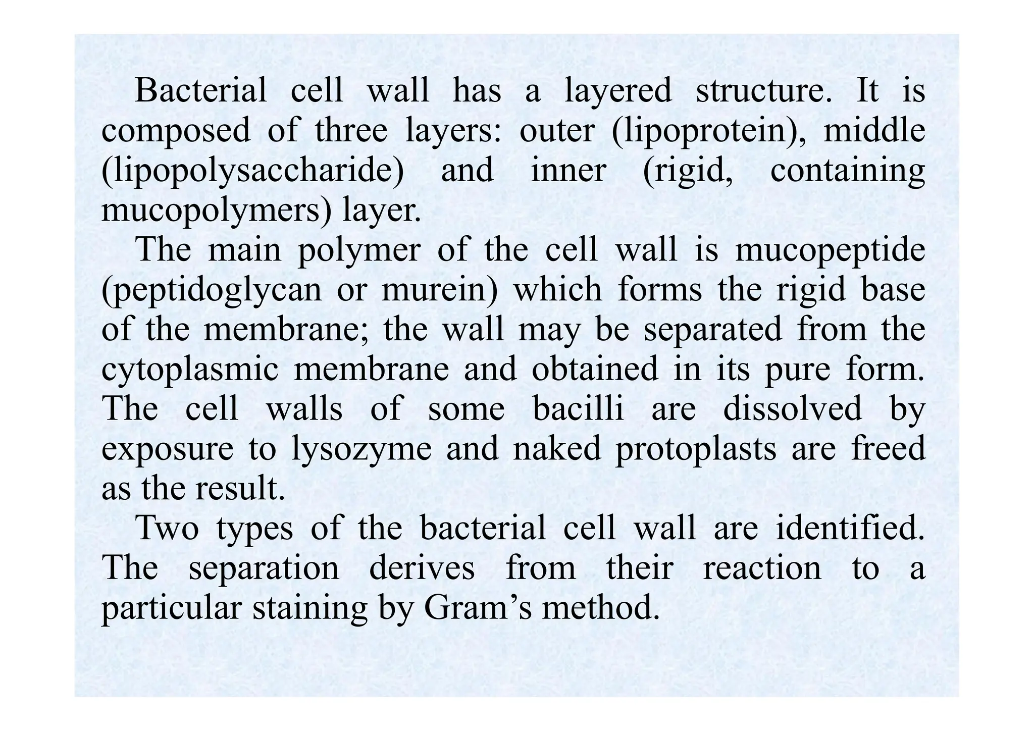 Bacterial cell wall has a layered structure. It is
composed of three layers: outer (lipoprotein), middle
(lipopolysaccharide) and inner (rigid, containing
mucopolymers) layer.
The main polymer of the cell wall is mucopeptide
(peptidoglycan or murein) which forms the rigid base
of the membrane; the wall may be separated from the
cytoplasmic membrane and obtained in its pure form.
The cell walls of some bacilli are dissolved by
exposure to lysozyme and naked protoplasts are freed
as the result.
Two types of the bacterial cell wall are identified.
The separation derives from their reaction to a
particular staining by Gram’s method.
 