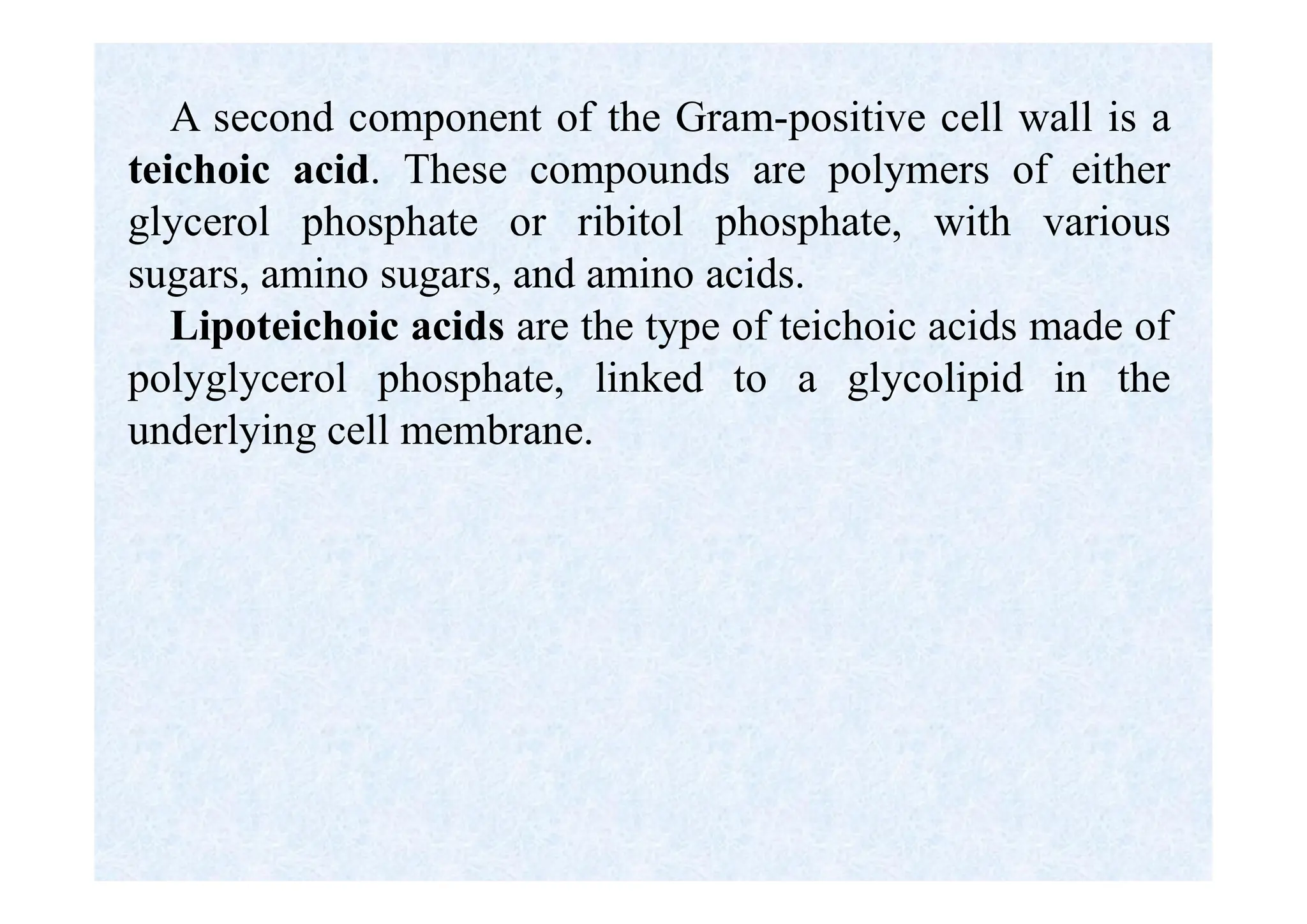 A second component of the Gram-positive cell wall is a
teichoic acid. These compounds are polymers of either
glycerol phosphate or ribitol phosphate, with various
sugars, amino sugars, and amino acids.
Lipoteichoic acids are the type of teichoic acids made of
polyglycerol phosphate, linked to a glycolipid in the
underlying cell membrane.
 