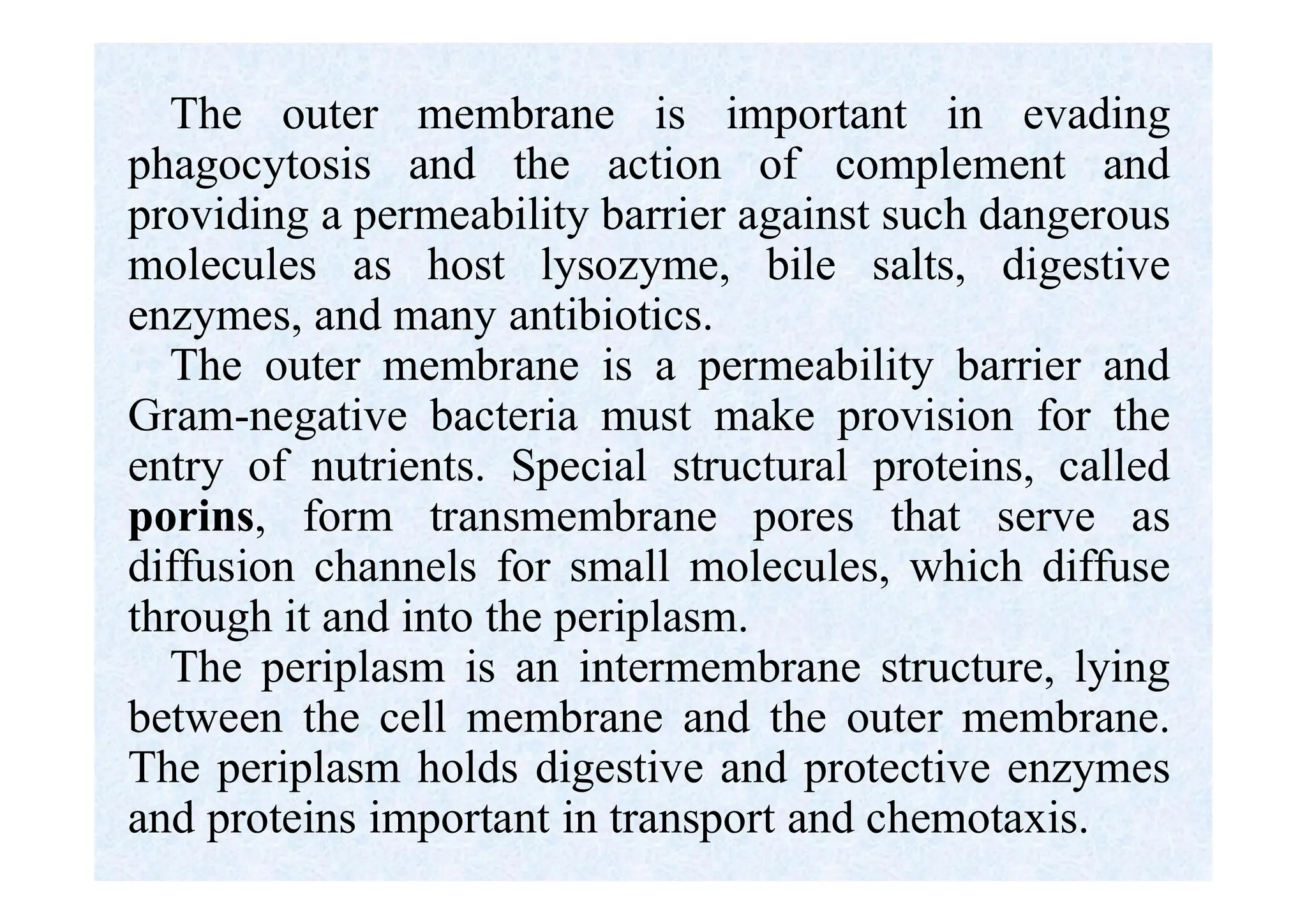 The outer membrane is important in evading
phagocytosis and the action of complement and
providing a permeability barrier against such dangerous
molecules as host lysozyme, bile salts, digestive
enzymes, and many antibiotics.
The outer membrane is a permeability barrier and
Gram-negative bacteria must make provision for the
entry of nutrients. Special structural proteins, called
porins, form transmembrane pores that serve as
diffusion channels for small molecules, which diffuse
through it and into the periplasm.
The periplasm is an intermembrane structure, lying
between the cell membrane and the outer membrane.
The periplasm holds digestive and protective enzymes
and proteins important in transport and chemotaxis.
 