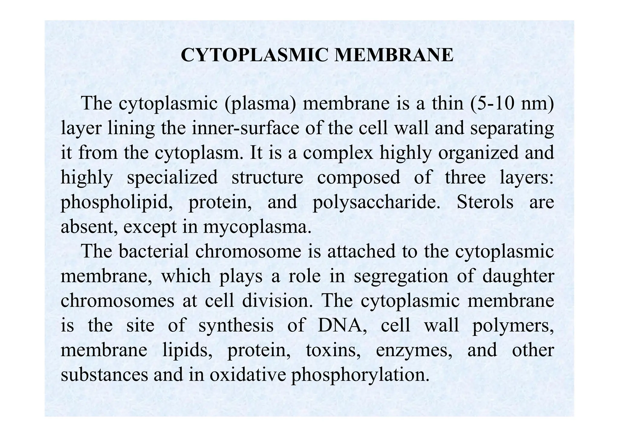 CYTOPLASMIC MEMBRANE
The cytoplasmic (plasma) membrane is a thin (5-10 nm)
layer lining the inner-surface of the cell wall and separating
it from the cytoplasm. It is a complex highly organized and
highly specialized structure composed of three layers:
phospholipid, protein, and polysaccharide. Sterols are
absent, except in mycoplasma.
The bacterial chromosome is attached to the cytoplasmic
membrane, which plays a role in segregation of daughter
chromosomes at cell division. The cytoplasmic membrane
is the site of synthesis of DNA, cell wall polymers,
membrane lipids, protein, toxins, enzymes, and other
substances and in oxidative phosphorylation.
 