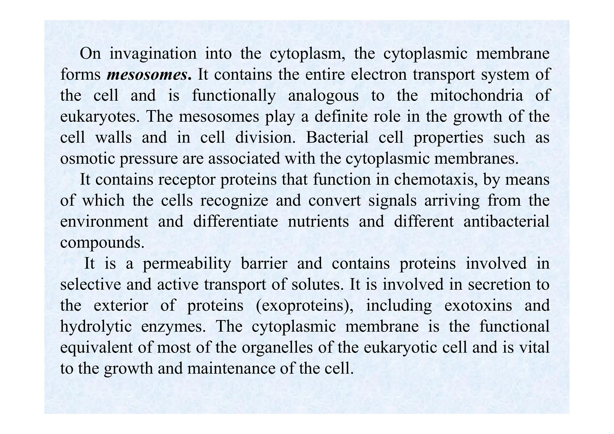 On invagination into the cytoplasm, the cytoplasmic membrane
forms mesosomes. It contains the entire electron transport system of
the cell and is functionally analogous to the mitochondria of
eukaryotes. The mesosomes play a definite role in the growth of the
cell walls and in cell division. Bacterial cell properties such as
osmotic pressure are associated with the cytoplasmic membranes.
It contains receptor proteins that function in chemotaxis, by means
of which the cells recognize and convert signals arriving from the
environment and differentiate nutrients and different antibacterial
compounds.
It is a permeability barrier and contains proteins involved in
selective and active transport of solutes. It is involved in secretion to
the exterior of proteins (exoproteins), including exotoxins and
hydrolytic enzymes. The cytoplasmic membrane is the functional
equivalent of most of the organelles of the eukaryotic cell and is vital
to the growth and maintenance of the cell.
 