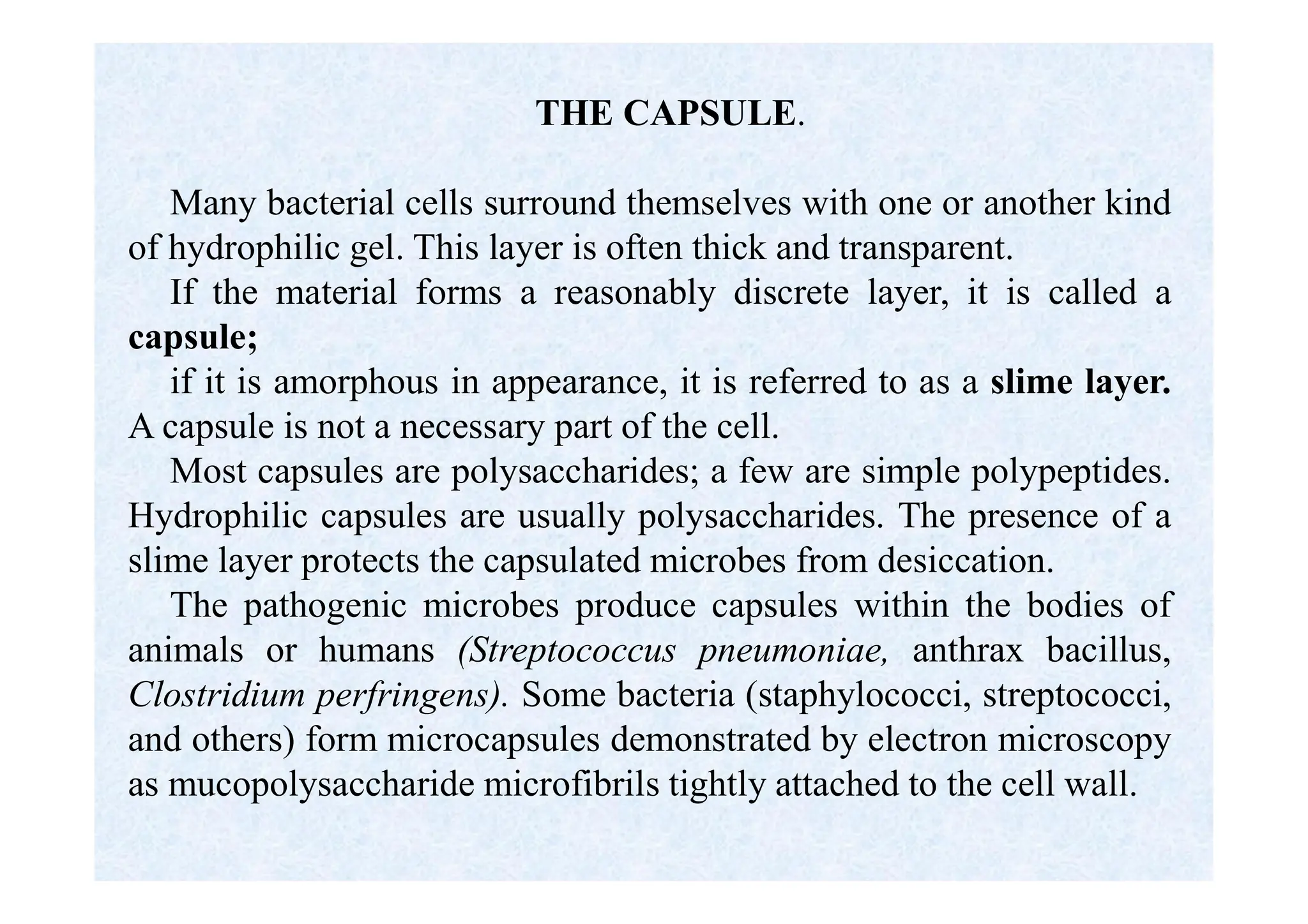 ТHE CAPSULE.
Many bacterial cells surround themselves with one or another kind
of hydrophilic gel. This layer is often thick and transparent.
If the material forms a reasonably discrete layer, it is called a
capsule;
if it is amorphous in appearance, it is referred to as a slime layer.
A capsule is not a necessary part of the cell.
Most capsules are polysaccharides; a few are simple polypeptides.
Hydrophilic capsules are usually polysaccharides. The presence of a
slime layer protects the capsulated microbes from desiccation.
The pathogenic microbes produce capsules within the bodies of
animals or humans (Streptococcus pneumoniae, anthrax bacillus,
Clostridium perfringens). Some bacteria (staphylococci, streptococci,
and others) form microcapsules demonstrated by electron microscopy
as mucopolysaccharide microfibrils tightly attached to the cell wall.
 