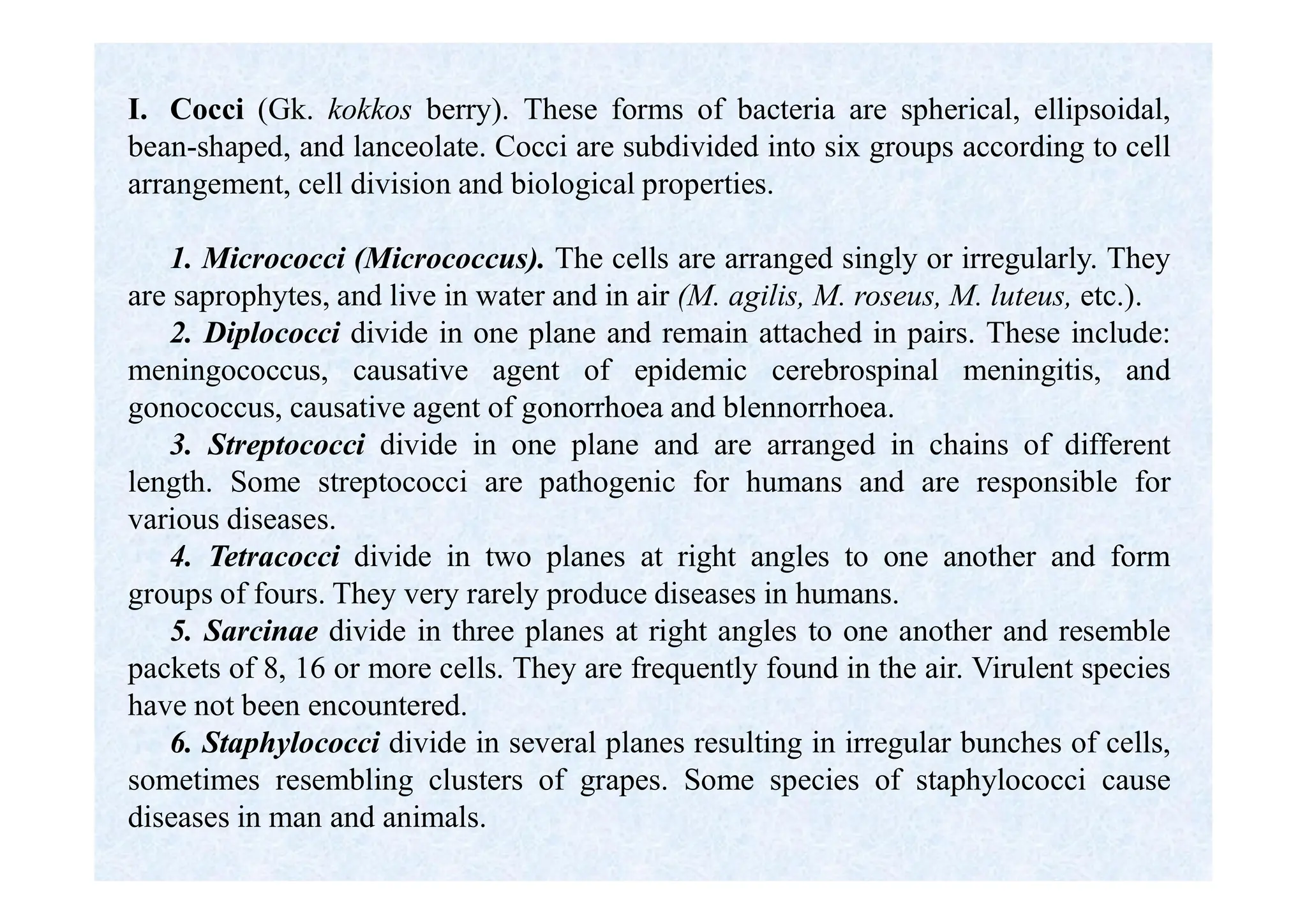 I. Cocci (Gk. kokkos berry). These forms of bacteria are spherical, ellipsoidal,
bean-shaped, and lanceolate. Cocci are subdivided into six groups according to cell
arrangement, cell division and biological properties.
1. Micrococci (Micrococcus). The cells are arranged singly or irregularly. They
are saprophytes, and live in water and in air (M. agilis, M. roseus, M. luteus, etc.).
2. Diplococci divide in one plane and remain attached in pairs. These include:
meningococcus, causative agent of epidemic cerebrospinal meningitis, and
gonococcus, causative agent of gonorrhoea and blennorrhoea.
3. Streptococci divide in one plane and are arranged in chains of different
length. Some streptococci are pathogenic for humans and are responsible for
various diseases.
4. Tetracocci divide in two planes at right angles to one another and form
groups of fours. They very rarely produce diseases in humans.
5. Sarcinae divide in three planes at right angles to one another and resemble
packets of 8, 16 or more cells. They are frequently found in the air. Virulent species
have not been encountered.
6. Staphylococci divide in several planes resulting in irregular bunches of cells,
sometimes resembling clusters of grapes. Some species of staphylococci cause
diseases in man and animals.
 