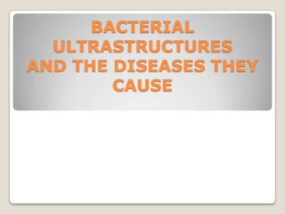 BACTERIAL
  ULTRASTRUCTURES
AND THE DISEASES THEY
        CAUSE
 