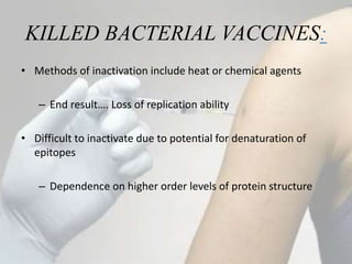 KILLED BACTERIAL VACCINES:
• Methods of inactivation include heat or chemical agents
– End result…. Loss of replication ability
• Difficult to inactivate due to potential for denaturation of
epitopes
– Dependence on higher order levels of protein structure
 