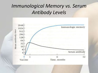 Immunological Memory vs. Serum
Antibody Levels
 