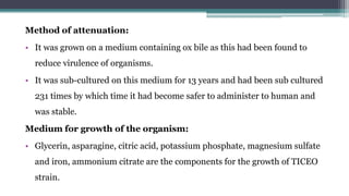 Method of attenuation:
• It was grown on a medium containing ox bile as this had been found to
reduce virulence of organisms.
• It was sub-cultured on this medium for 13 years and had been sub cultured
231 times by which time it had become safer to administer to human and
was stable.
Medium for growth of the organism:
• Glycerin, asparagine, citric acid, potassium phosphate, magnesium sulfate
and iron, ammonium citrate are the components for the growth of TICEO
strain.
 