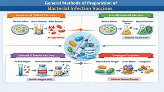 Comprehensive Overview of Bacterial Vaccines and Infection Control ...