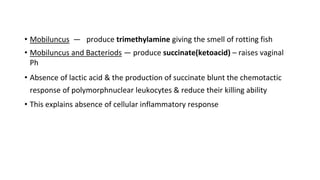 • Mobiluncus — produce trimethylamine giving the smell of rotting fish
• Mobiluncus and Bacteriods — produce succinate(ketoacid) – raises vaginal
Ph
• Absence of lactic acid & the production of succinate blunt the chemotactic
response of polymorphnuclear leukocytes & reduce their killing ability
• This explains absence of cellular inflammatory response
 