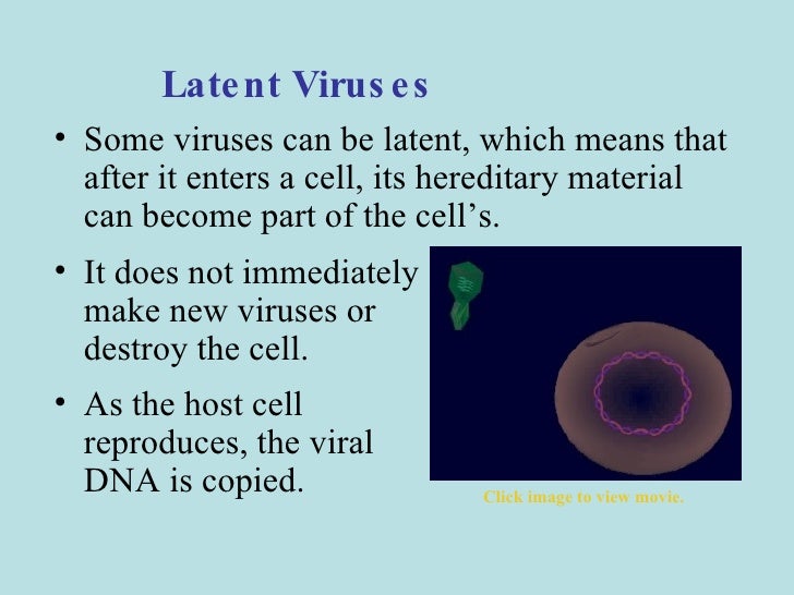 Bacterial & Viral Reproduction