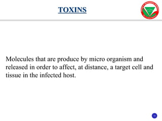 13
13
Molecules that are produce by micro organism and
released in order to affect, at distance, a target cell and
tissue in the infected host.
TOXINS
 