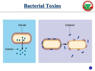 14
14
Bacterial Toxins
 