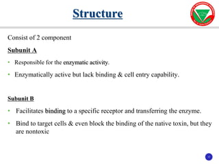 17
17
Consist of 2 component
Subunit A
• Responsible for the enzymatic activity.
• Enzymatically active but lack binding & cell entry capability.
Subunit B
• Facilitates binding to a specific receptor and transferring the enzyme.
• Bind to target cells & even block the binding of the native toxin, but they
are nontoxic
Structure
 