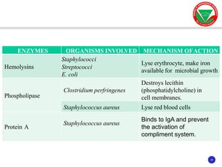28
28
ENZYMES ORGANISMS INVOLVED MECHANISM OFACTION
Hemolysins
Staphylococci
Streptococci
E. coli
Lyse erythrocyte, make iron
available for microbial growth
Phospholipase
Clostridium perfringenes
Destroys lecithin
(phosphatidylcholine) in
cell membranes.
Staphylococcus aureus Lyse red blood cells
Protein A
Staphylococcus aureus
Binds to IgA and prevent
the activation of
compliment system.
 