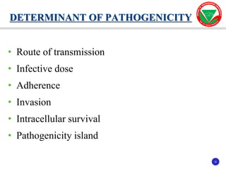 32
32
• Route of transmission
• Infective dose
• Adherence
• Invasion
• Intracellular survival
• Pathogenicity island
DETERMINANT OF PATHOGENICITY
 