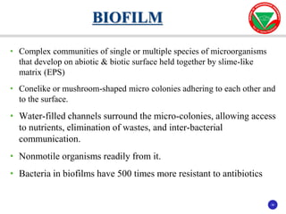 36
36
• Complex communities of single or multiple species of microorganisms
that develop on abiotic & biotic surface held together by slime-like
matrix (EPS)
• Conelike or mushroom-shaped micro colonies adhering to each other and
to the surface.
• Water-filled channels surround the micro-colonies, allowing access
to nutrients, elimination of wastes, and inter-bacterial
communication.
• Nonmotile organisms readily from it.
• Bacteria in biofilms have 500 times more resistant to antibiotics
BIOFILM
 