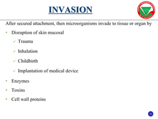 38
38
After secured attachment, then microorganisms invade to tissue or organ by
• Disruption of skin mucosal
 Trauma
 Inhalation
 Childbirth
 Implantation of medical device
• Enzymes
• Toxins
• Cell wall proteins
INVASION
 