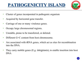 40
40
• Cluster of genes incorporated in pathogenic organism
• Acquired by horizontal gene transfer.
• Carriage of one or many virulence genes.
• Occupy large chromosomal regions.
• Unstable, prone to be transferred, or deleted.
• Different G+C content from host chromosome.
• Are associated with tRNA genes, which act as sites for recombination
into the DNA.
• They carry mobile genes (E.g. integrases), to enable insertion into host
DNA
PATHOGENICITY ISLAND
 