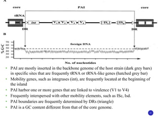41
41
• PAI are mostly inserted in the backbone genome of the host strain (dark grey bars)
in specific sites that are frequently tRNA or tRNA-like genes (hatched grey bar)
• Mobility genes, such as integrases (int), are frequently located at the beginning of
the island
• PAI harbor one or more genes that are linked to virulence (V1 to V4)
• Frequently interspersed with other mobility elements, such as ISc, Isd.
• PAI boundaries are frequently determined by DRs (triangle)
• PAI is a GC content different from that of the core genome.
 