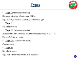 8
8
• Type I (Mannose sensitive)
Hemagglutination of untreated RBCs.
E.g. E.coli ,klebsiella ,Serratia, salmonella spp.
• Type II
No adhesiveness
• Type III (Mannose resistant)
Adhesive to RBCs treated with tannic acid/heated to 70 ° C
E.g. klebsiella, serratia
• Type IV (Mannose resistant)
P.aeruginosa
• Type VI
No adhesiveness
E.g. Non fimbriated strains of K.ozaenae
Types
 