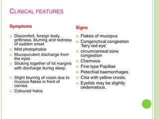 CLINICAL FEATURES
Symptoms
 Discomfort, foreign body,
grittiness, blurring and redness
of sudden onset
 Mild photophobia
 Mucopurulent discharge from
the eyes
 Sticking together of lid margins
with discharge during sleep.
 Slight blurring of vision due to
mucous flakes in front of
cornea.
 Coloured halos
Signs
 Flakes of mucopus
 Congenctival congestion
‘fiery red eye’
 circumcorneal zone
congestion
 Chemosis
 Fine type Papillae
 Petechial haemorrhages
 Cilia with yellow crusts.
 Eyelids may be slightly
oedematous.
 