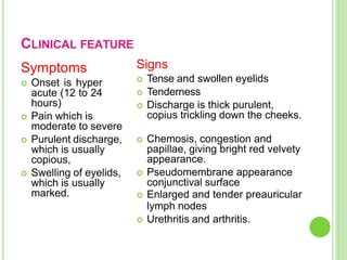 CLINICAL FEATURE
Symptoms
 Onset is hyper
acute (12 to 24
hours)
 Pain which is
moderate to severe
 Purulent discharge,
which is usually
copious,
 Swelling of eyelids,
which is usually
marked.
Signs
 Tense and swollen eyelids
 Tenderness
 Discharge is thick purulent,
copius trickling down the cheeks.
 Chemosis, congestion and
papillae, giving bright red velvety
appearance.
 Pseudomembrane appearance
conjunctival surface
 Enlarged and tender preauricular
lymph nodes
 Urethritis and arthritis.
 