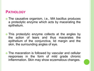 PATHOLOGY
 The causative organism, i.e., MA bacillus produces
a proteolytic enzyme which acts by macerating the
epithelium.
 This proteolytic enzyme collects at the angles by
the action of tears and thus macerates the
epithelium of the conjunctiva, lid margin and the
skin, the surrounding angles of eye.
 The maceration is followed by vascular and cellular
responses in the form of mild grade chronic
inflammation. Skin may show eczematous changes.
 