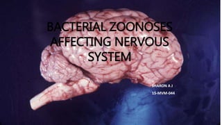 BACTERIAL ZOONOSES
AFFECTING NERVOUS
SYSTEM
SHARON A J
15-MVM-044
 