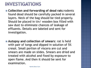 ž Collection and forwarding of dead rats:rodents
found dead should be carefully packed in several
layers. Neck of the bag should be tied properly.
Should be placed in tin/ wooden box filled with
saw dust to eliminate chances of leakage of
effluents. Details are labeled and sent for
investigation.
ž Autopsy and collection of smears: rat is held
with pair of tongs and dipped in solution of 5%
cresol. Small portion of viscera are cut and
smears are made on slides. Smears are dried and
treated with alcohol and fixed by exposure to
open flame. And then it should be sent for
examination.
Namita Batra Guin
 