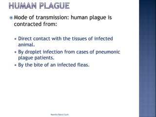 ž Mode of transmission: human plague is
contracted from:
¡ Direct contact with the tissues of infected
animal.
¡ By droplet infection from cases of pneumonic
plague patients.
¡ By the bite of an infected fleas.
Namita Batra Guin
 